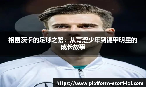 LOL押注正规平台